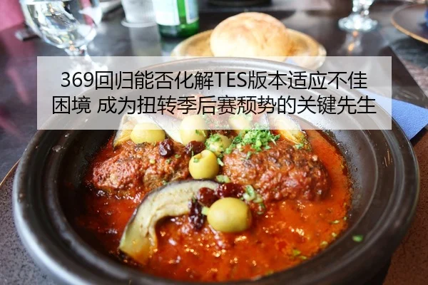 369回归能否化解TES版本适应不佳困境 成为扭转季后赛颓势的关键先生